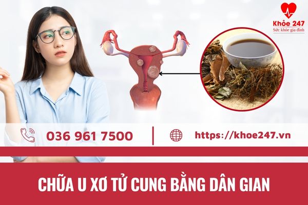 Chữa u xơ tử cung bằng dân gian được nhiều người bệnh áp dụng