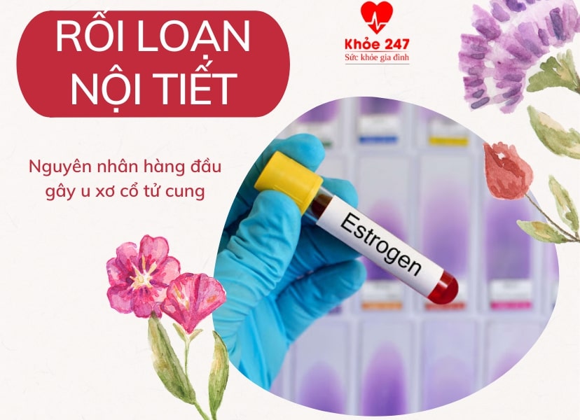 Nguyên nhân u xơ cổ tử cung