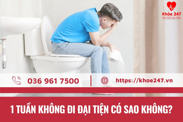 Nhiều bạn đọc lo lắng không biết 1 tuần không đi đại tiện có sao không