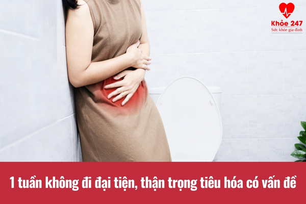 Các vấn đề tiêu hóa có thể dẫn tới tình trạng 1 tuần không đi đại tiện được