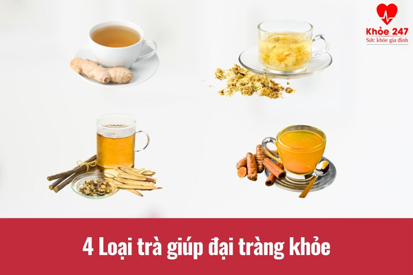 Các loại trà giúp ích cho sức khỏe đại tràng