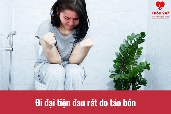 Táo bón là nguyên nhân phổ biến nhất gây tình trạng đau rát khi đi đại tiện