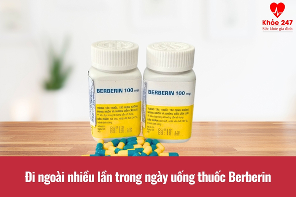 Berberin làm giảm tình trạng đi ngoài nhiều lần trong ngày