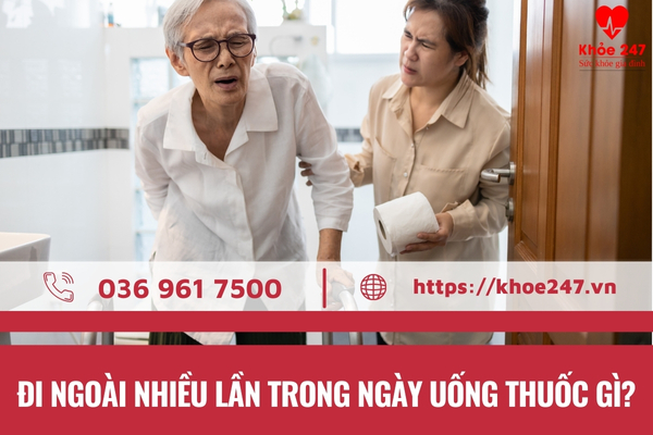 Đi ngoài nhiều lần trong ngày uống thuốc gì là băn khoăn của nhiều người