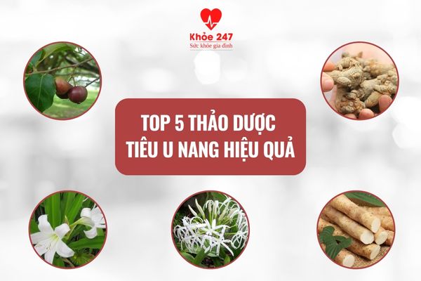 Làm sao để hết u nang buồng trứng bằng thảo dược