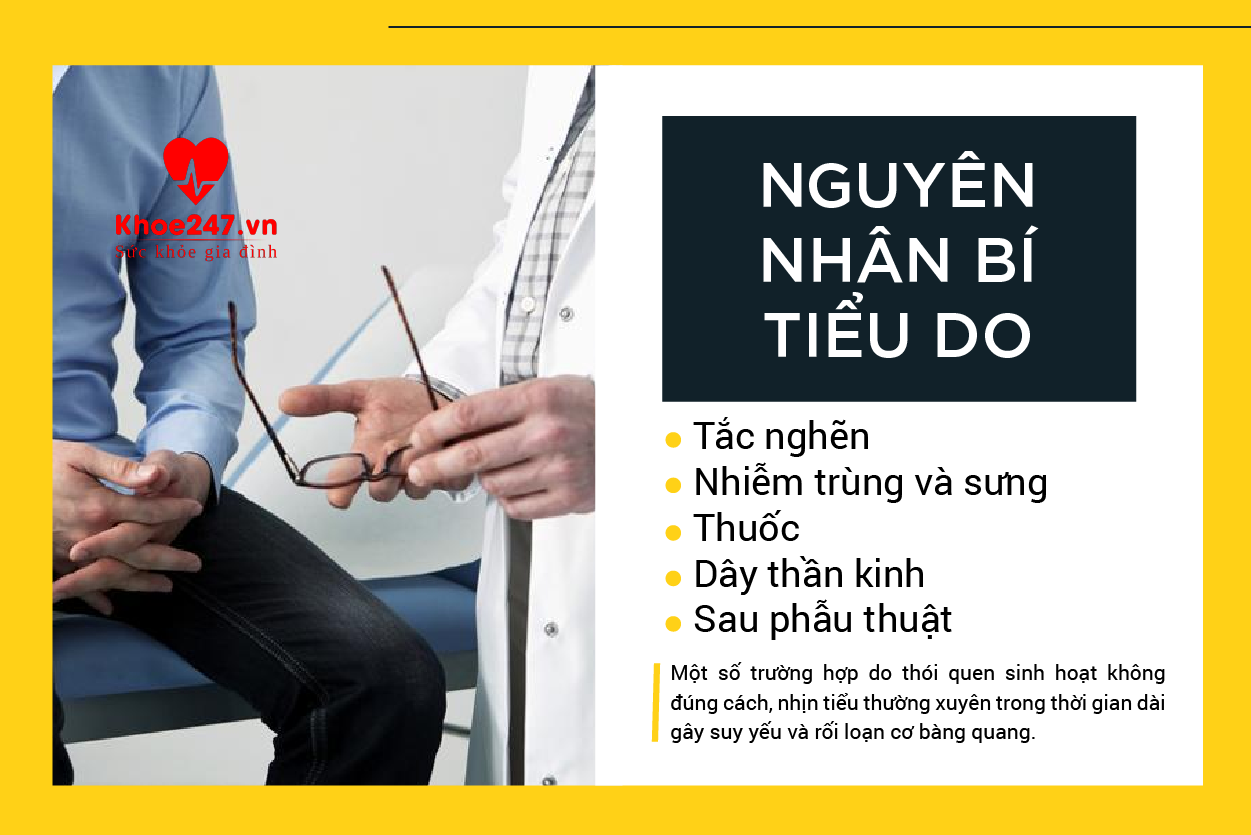 Sỏi đường tiết niệu là một trong những nguyên nhân gây bí tiểu thường gặp