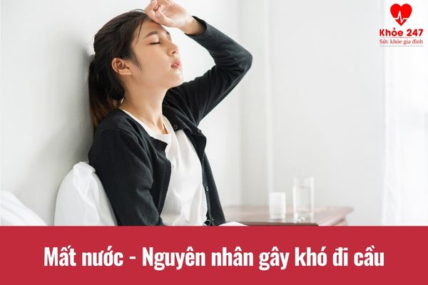 Mất nước gây khó đi cầu