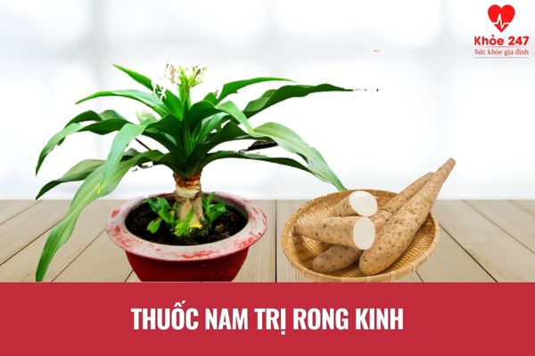 Thuốc nam trị rong kinh