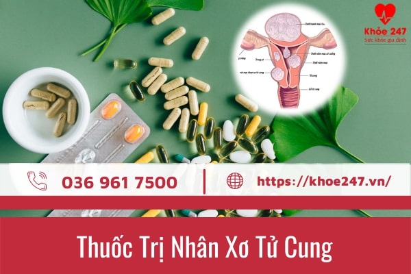 thuốc trị nhân xơ tử cung
