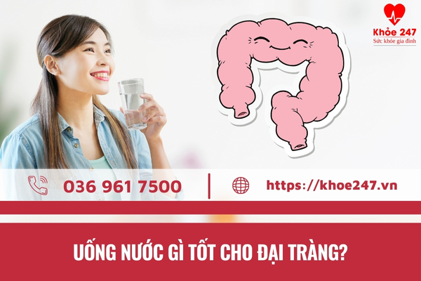 Uống nước gì tốt cho đại tràng là vấn đề được nhiều người quan tâm