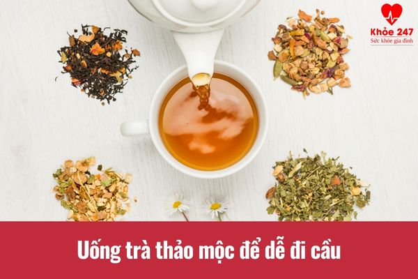 Uống trà thảo mộc giúp bạn dễ đi cầu