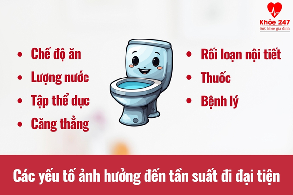 Có nhiều yếu tố ảnh hưởng đến tần suất đi đại tiện