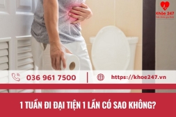 【Giải đáp】1 Tuần Đi Đại Tiện 1 Lần Có Sao Không?