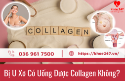 Collagen có tác dụng làm giảm khối u xơ tuyến vú không?
