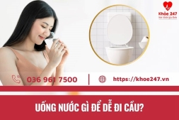 Uống Nước Gì Để Dễ Đi Cầu? TOP 9 Loại Nước Tốt Nhất