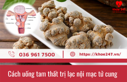 Tam thất là loại thảo dược gì và có tác dụng gì trong việc điều trị lạc nội mạc tử cung?
